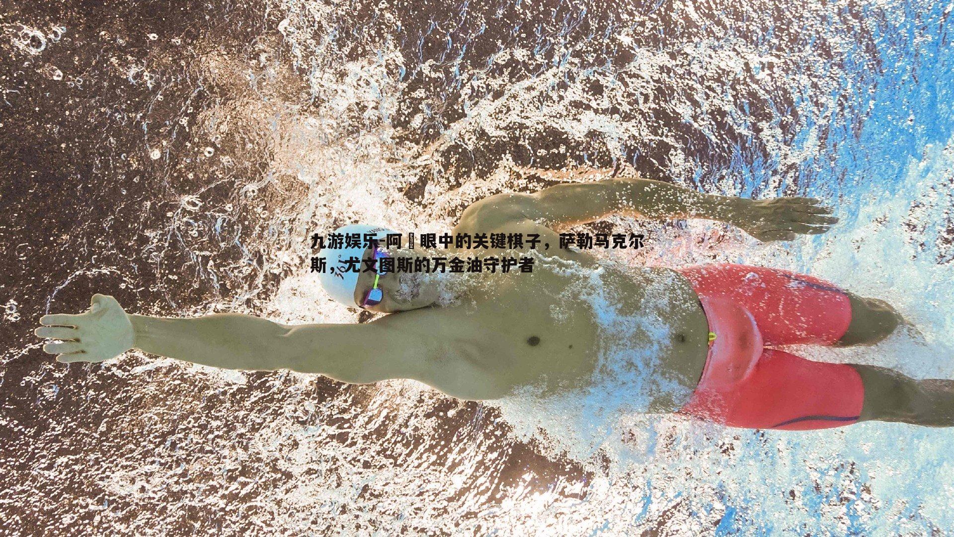 阿囧眼中的关键棋子,萨勒马克尔斯,尤文图斯的万金油守护者